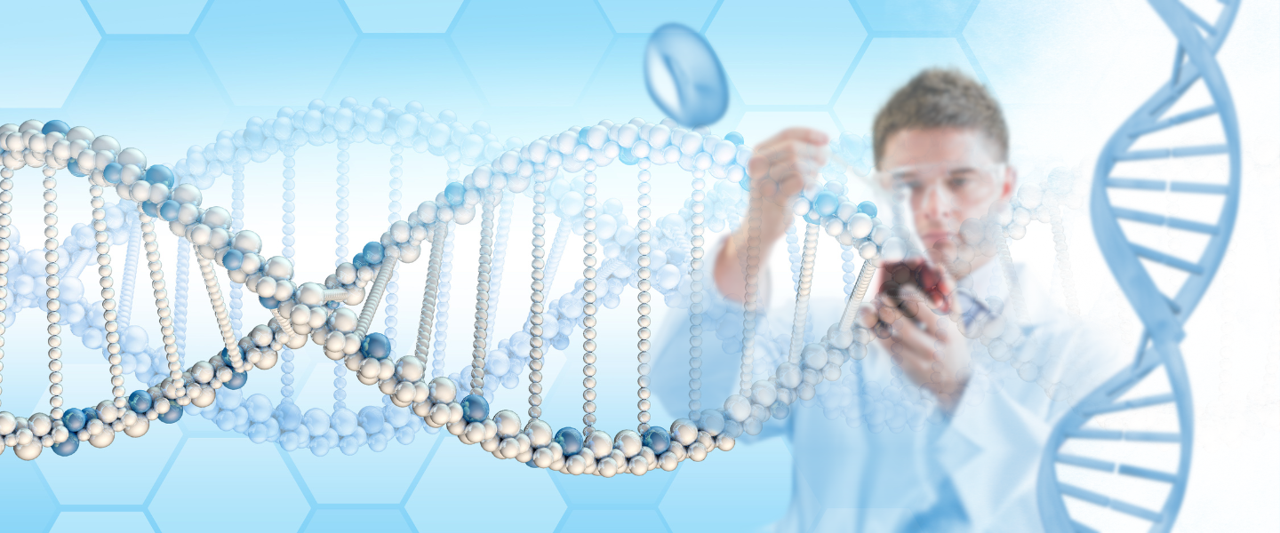 Reprogramación biológica: los 5 ejes fundamentales de cualquier terapia